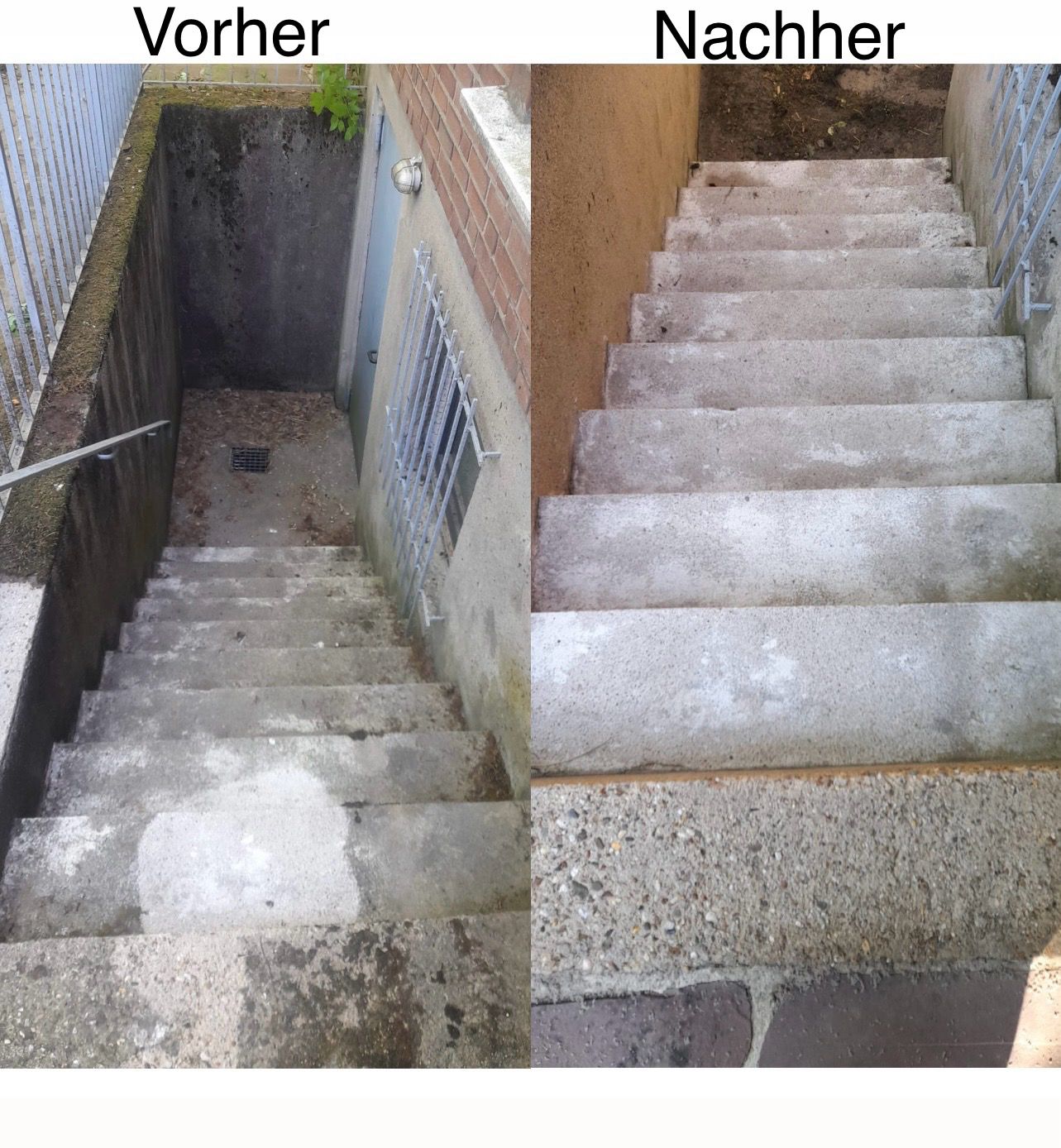 Vorher-Nachher-Vergleich einer professionellen Reinigung