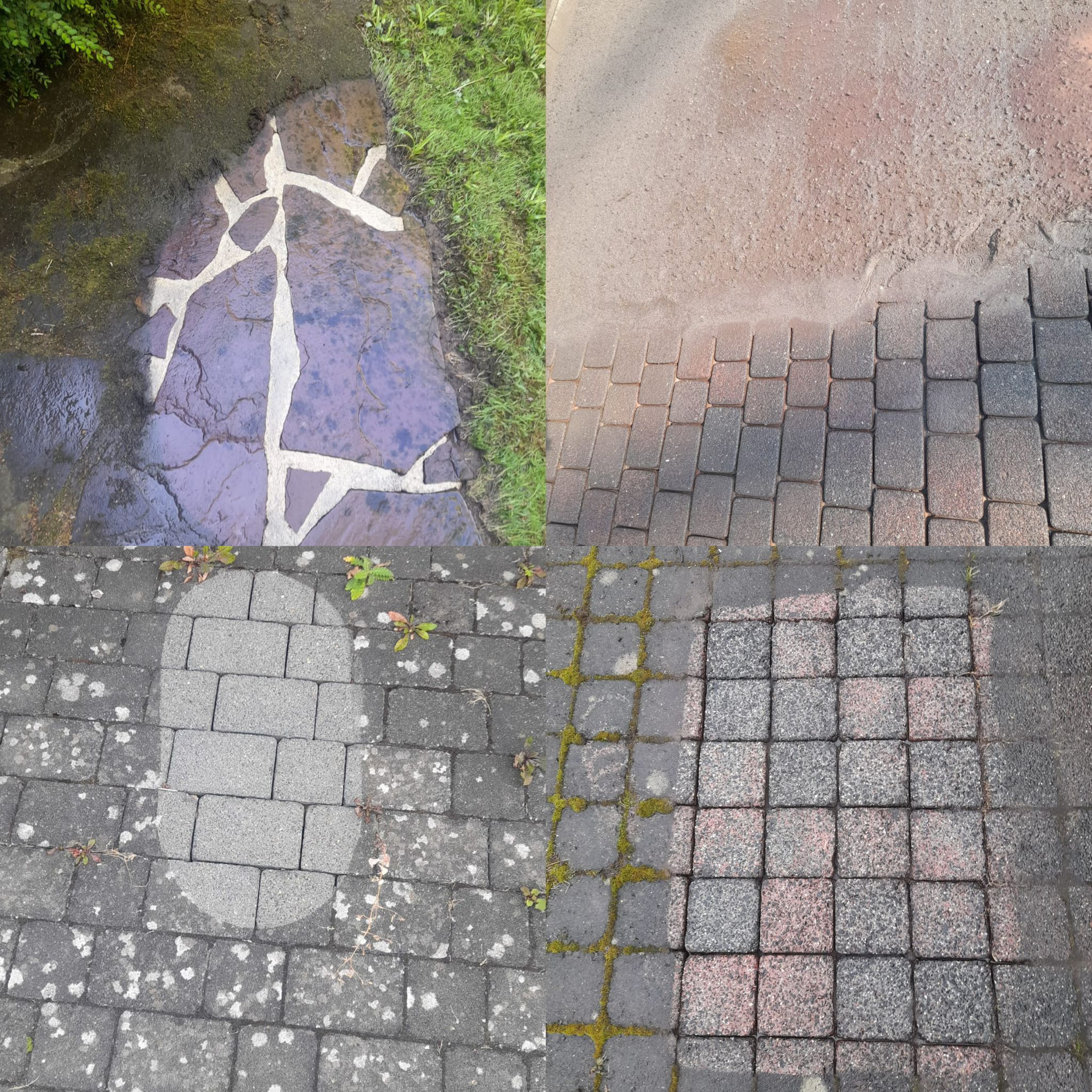 Vorher-Nachher-Vergleich einer professionellen Reinigung