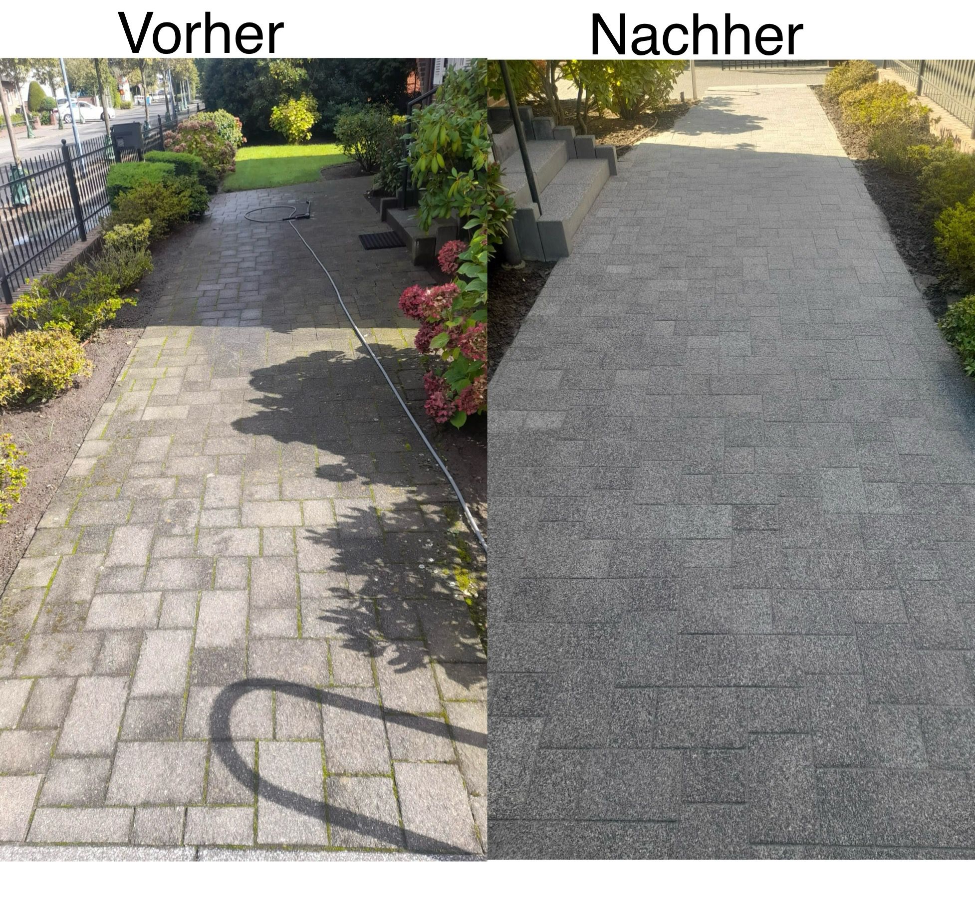 Vorher-Nachher-Vergleich einer professionellen Reinigung