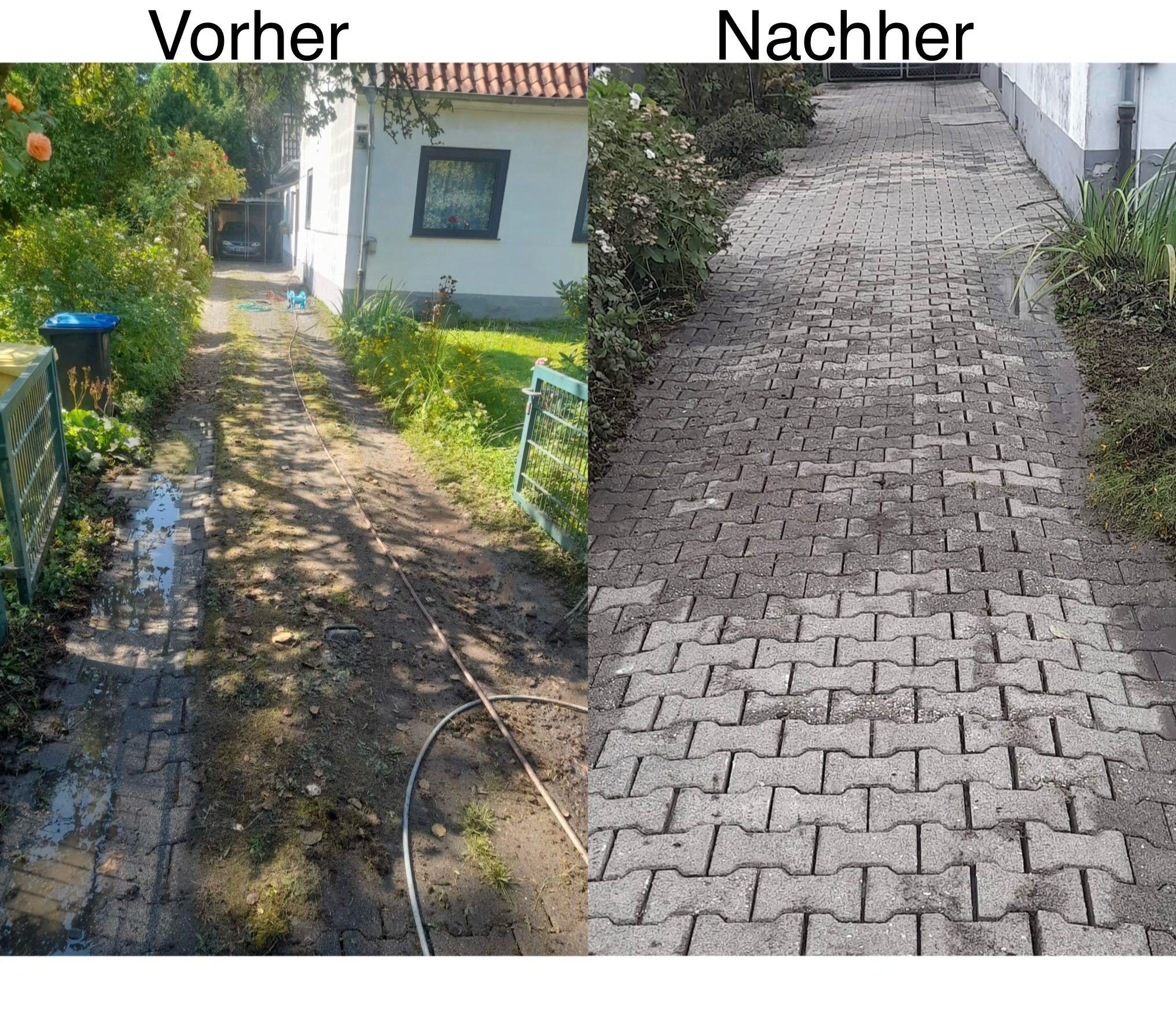 Vorher-Nachher-Vergleich einer professionellen Reinigung