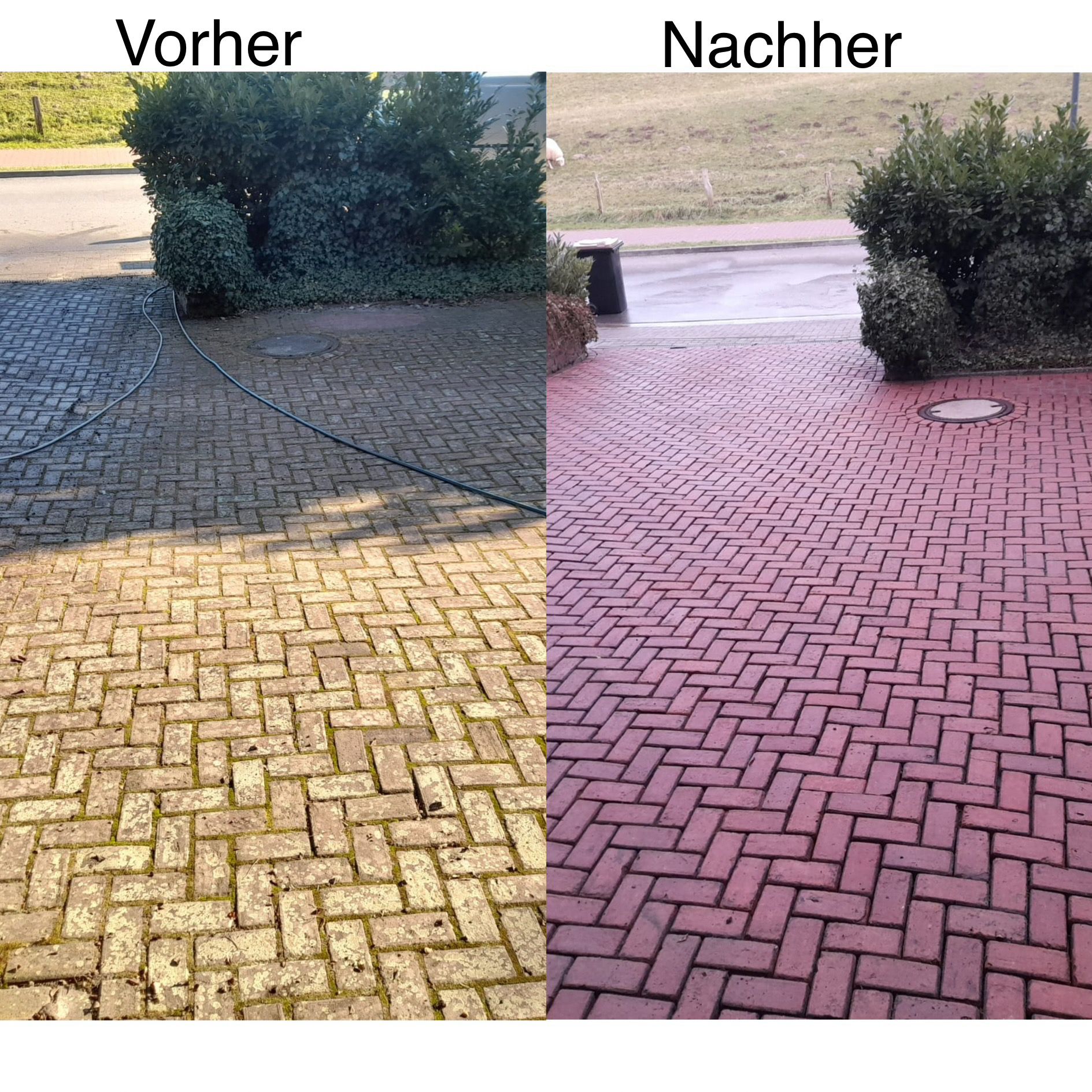 Vorher-Nachher-Vergleich einer professionellen Reinigung