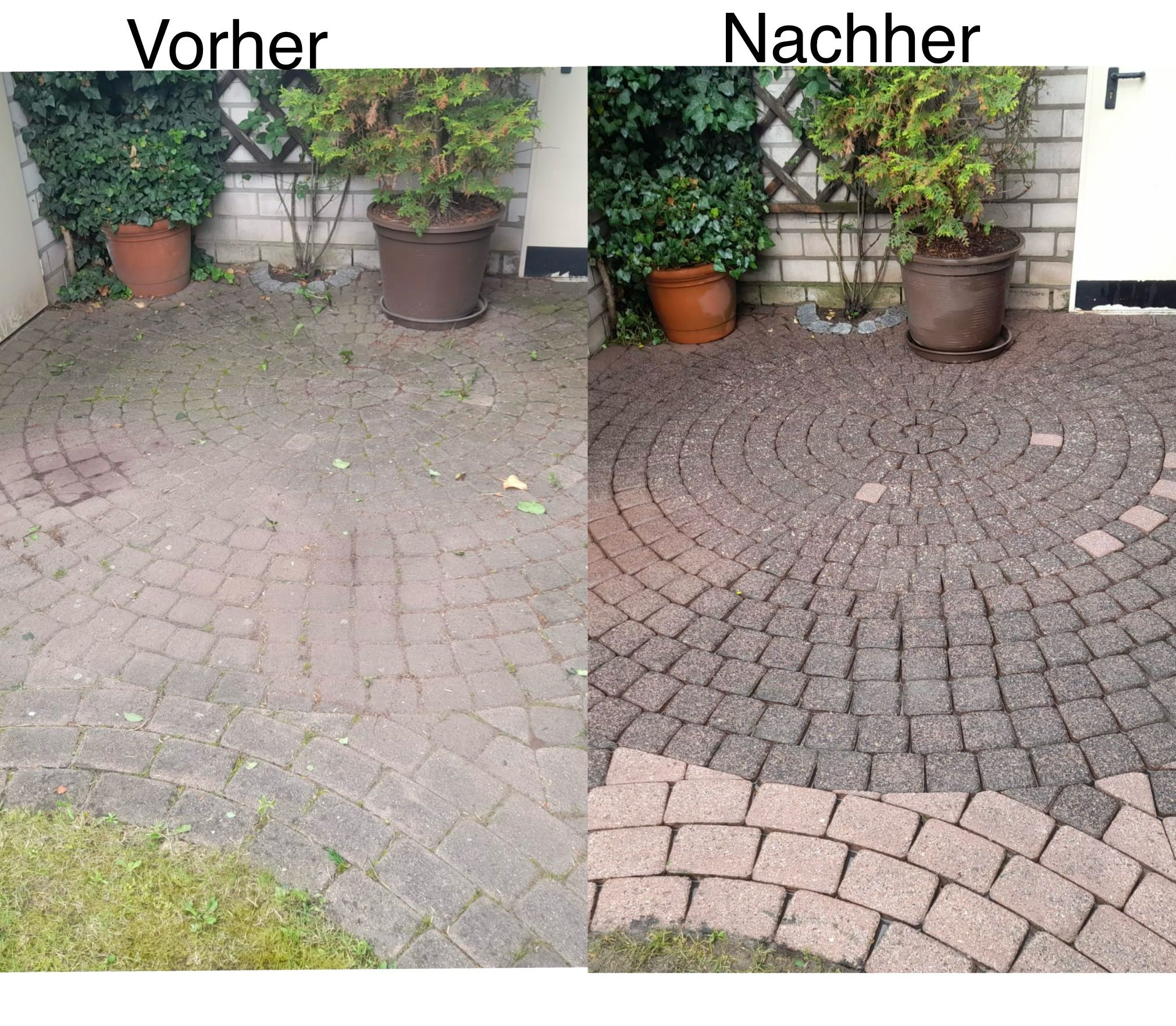 Vorher-Nachher-Vergleich einer professionellen Reinigung