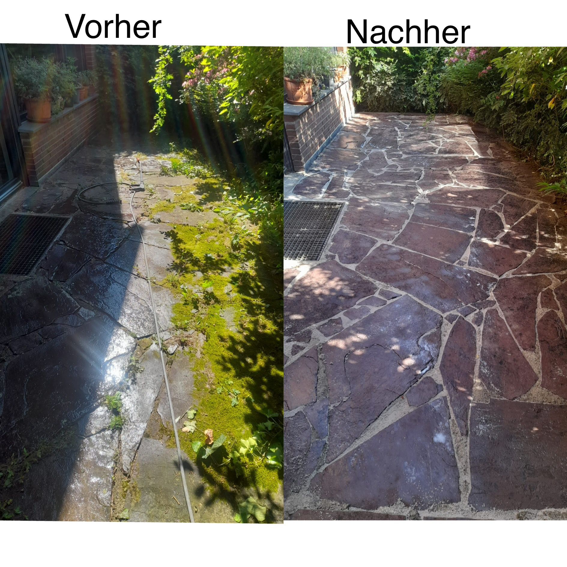 Vorher-Nachher-Vergleich einer professionellen Reinigung